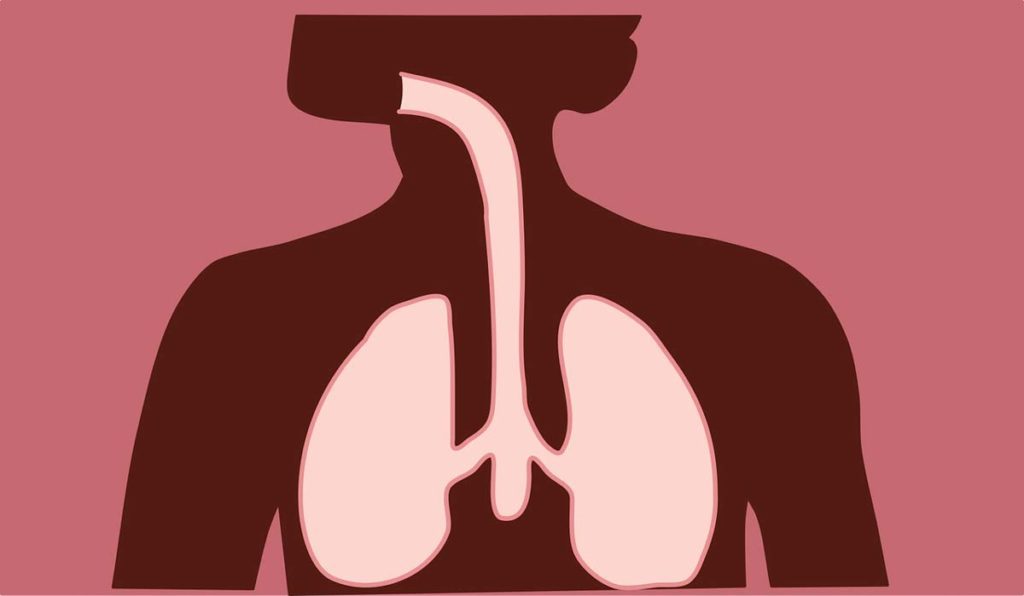 Как наркотики и алкоголь влияют на дыхательную систему?