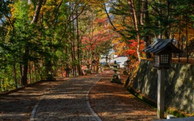 Holistic Approaches to Addiction Treatment: Mind, Body, and Spirit Integration